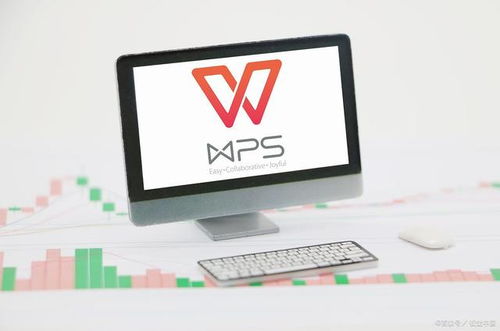 二级WPS Office考试内容详解 网络与信息安全软件开发方向